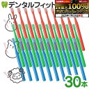【★エントリー&店内3点購入でP10倍(7/4 20:00-7/11 1:59迄)】【送料無料】歯ブラシ デンタルコロン 4列 Mふつう 30本 先細 オールテーパー毛 お得 コンパクトヘッド 激安 職場 キャンプ 家族