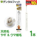 【★エントリー&店内3点購入でP10倍(7/19 20:00-7/26 1:59迄)】ミガケンデ MIGAKENDE 柔らかい天然毛歯ブラシ 小型犬用 ヤギ&ウマ植毛 柔らか+磨き心地 1本 【 ペット用 ソフト 柔らかい ハブラシ 天然毛 イヌ 愛犬 歯周病 小型犬】