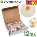 【★エントリー&店内3点購入でP10倍(7/19 20:00-7/26 1:59迄)】ベタッと!たまご(12個入) / 透明 卵 おもちゃ いたずら スクイーズ 縁日 子ども会 景品 イベント 幼稚園 保育園 お祭り【商品入れ替えのため特価】