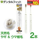【★エントリー&店内3点購入でP10倍(7/19 20:00-7/26 1:59迄)】ミガケンデ MIGAKENDE 柔らかい天然毛歯ブラシ 小型犬用 ヤギ&ウマ植毛 柔らか+磨き心地 2本セット 【 ペット用 ソフト 柔らかい ハブラシ 天然毛 イヌ 愛犬 歯周病 小型犬】【メール便選択で送料無料】