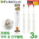【★エントリー&店内3点購入でP10倍(7/19 20:00-7/26 1:59迄)】ミガケンデ MIGAKENDE 柔らかい天然毛歯ブラシ 小型犬用 ヤギ&ウマ植毛 柔らか+磨き心地 3本セット 【 ペット用 ソフト 柔らかい ハブラシ 天然毛 イヌ 愛犬 歯周病 小型犬】【メール便選択で送料無料】