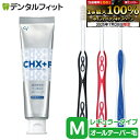 【★エントリー&店内3点購入でP10倍(7/19 20:00-7/26 1:59迄)】CHジェルガード(フッ素コート歯磨きジェル) 1本(90g) (フッ素濃度:1450ppm)とLover8 歯ブラシ レギュラータイプ オールテーパー毛 Mふつう 3本のセット【メール便選択で送料無料】