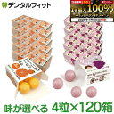 【★エントリー&店内3点購入でP10倍(7/19 20:00-7/26 1:59迄)】キシリトールガム 歯科専用 味が選べる トレーニング フーセンガム(4粒×...