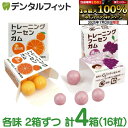 【★エントリー&店内3点購入でP10倍(7/19 20:00-7/26 1:59迄)】キシリトールガム 歯科専用 トレーニング フーセンガム(4粒×4箱) グレ...