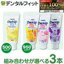 【★エントリー&店内3点購入でP10倍(7/19 20:00-7/26 1:59迄)】ライオン チェックアップ ジェル 60g(1本分) 3本セット / 全通り選べる 歯みがき粉 子供 CheckUP バナナ グレープ ピーチ レモンティー 【メール便選択で送料無料】