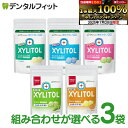 キシリトールガム 歯科専用 組み合わせが選べる オーラルケア パウチタイプ 3袋セット(35g・21粒入/1袋) (アップルミント/マスカット/クリアミント/オ...