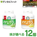 【★エントリー&店内3点購入でP10倍(7/19 20:00-7/26 1:59迄)】キシリトールガム 歯科専用 味が選べる オーラルケア 味長続き ボトルタイ...