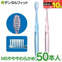 【★40%ポイントバック 8/11 9:59迄】【送料無料】Ciリセラバリュー歯ブラシ MSやややわらかめ 50本入 フラット毛(ラウンド毛 ) 2色アソート ...