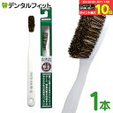 エビス 軟毛歯ブラシ やわらかめ 1本 弱った歯ぐきをやさしくいたわる高級軟毛歯ブラシ EBiSU B-N35 天然毛のハブラシ ゆるやかにカーブした植毛が歯茎...