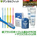 【送料無料】デンタルフィット歯の健康セット(オーラルクールCHX(100ml)2本 / CHジェルガード(90g)2本 / 歯ブラシ ハイセンス20本)【Ciメディカル マウスウオッシュ 歯みがき剤 ジェル歯みがき 歯科医院専売 歯ブラシ Hi sense】