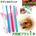 【★エントリー&店内3点購入でP10倍(8/4 20:00-8/11 1:59迄)】犬用 歯ブラシ / Ci シュワワ / 1本【Ciメディカル 歯ブラシ】