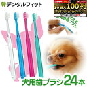 【★エントリー&店内3点購入でP10倍(8/4 20:00-8/11 1:59迄)】犬用 歯ブラシ / Ci シュワワ / 4色アソート/24本セット【Ciメデ...