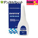 【★10%OFF】EVOTITE エヴォタイト スーパーグルー V-1(液状)