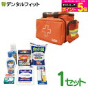 【★エントリーP5倍+先着100円OFFクーポン 9/4-9/11】救急箱 救急セット 防災 日進医療器 エルモ救急バッグM(衛生材料セット付) 1セット 【送料無料】