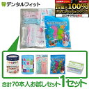 【★10%OFF】5種類のこども用フロスお試しセット 1セット(合計70本入) 福袋 (キッズフロッサー20本+フロスちゃん20本+フロッシー12本+Ciキッズフロス10本+Ciこども用フロス指導用8本) こども フロス (メール便3点まで)【メール便選択で送料無料】 1000円ポッキリ