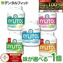 【★ポイント5倍 9/13 0:00-9/15 23:59】キシリトールガム 歯科専用 オーラルケア 歯科用 ボトルタイプ 1個 153g(90粒相当) ボトル...