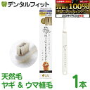 【★ポイント5倍 9/13 0:00-9/15 23:59】ミガケンデ MIGAKENDE 柔らかい天然毛歯ブラシ 小型犬用 ヤギ&ウマ植毛 柔らか+磨き心地 1本 【 ペット用 ソフト 柔らかい ハブラシ 天然毛 イヌ 愛犬 歯周病 小型犬】