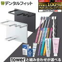 山崎実業 tower マグネットバスルームチューブ&トゥースブラシホルダー タワー 1個 とセットが選べる (ゼブラシ / CiPRO AD Ag+ / CiP...
