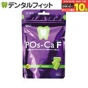 【★エントリー&店内3点購入でP10倍(9/19 20:00-9/24 1:59迄)】キシリトールガム 歯科専用 Pos-Ca(ポスカ) F マスカット パウチタイプ100g
