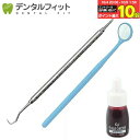 【★10%ポイントバック 10/17 9:59 迄】ヤニ取り&歯石取り&歯垢取りホームケア3点セット《スケーラー H5-33 1点・検診専用ミラー1点・Ciプラークチェッカー(歯垢染色液)ミニボトル(5ml)1点》(メール便10点まで)【メール便選択で送料無料】
