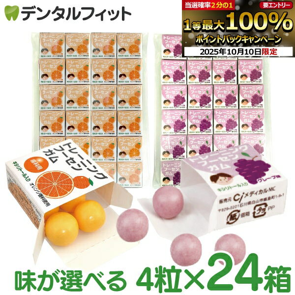 キシリトールガム 歯科専用 トレーニング フーセンガム(4粒×24箱) グレープ味/オレンジ味 風船ガム キ..