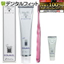 【★エントリーと店内3点購入でP10倍(10/24 20:00-10/27 9:59迄)】オーラルケア アパガードリナメル 1本(120g)《★ミニボトル(20...