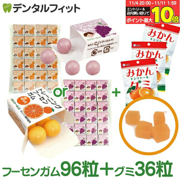 ڥ᡼̵ۻʰ屡ѥȥ졼˥ ա󥬥 4γ24Ȣ 졼̣ β