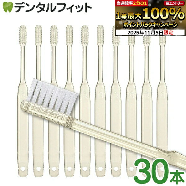 【★エントリーと店内3点購入でP10倍(11/4 20:00-11/11 1:59迄)】Ci Bio(バイオ) 歯ブラシ 30本 毛のかたさ Mふつう 環境にやさしい 植物由来原料使用 SDGs エコ素材