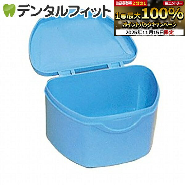 【★ポイント5倍 11/14 10:00-11/16 23:59】抗菌加工入れ歯ケース大 1個 ブルー(国産)