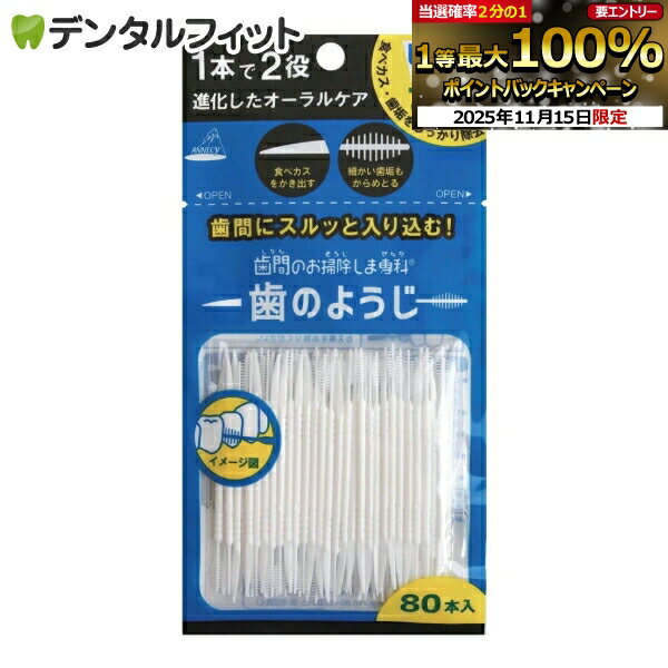 【★ポイント5倍 11/14 10:00-11/16 23:59】歯間のお掃除しま専科 歯のようじ/80本入 OB-807 歯間ブラシ..