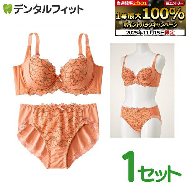 【★ポイント5倍 11/14 10:00-11/16 23:59】【★在庫処分の超特価】 ニッセン×トリンプ 脇高 編レース リ..