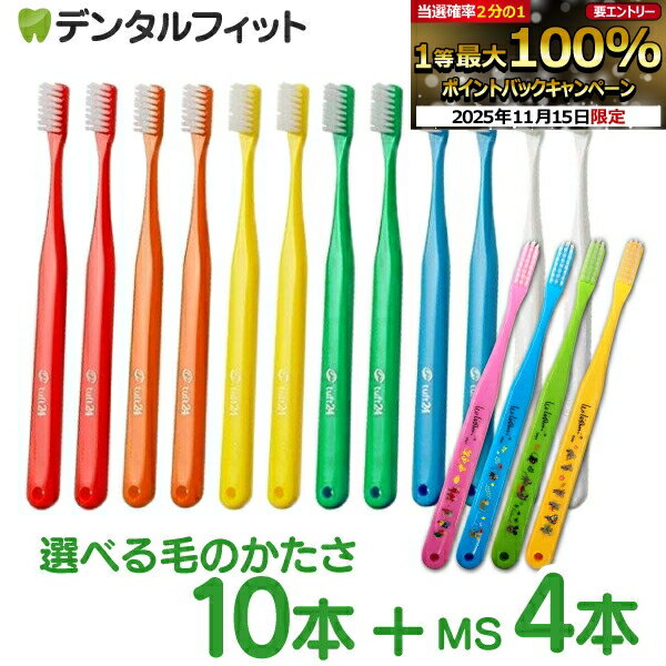 タフト24 vs. レオレオニ！歯科医推奨歯ブラシ徹底比較