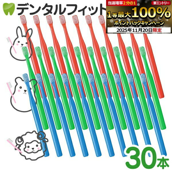 【★ポイント5倍 11/19 23:59迄】歯ブラシ デンタルコロン 4列 Mふつう 30本 先細 オールテーパー毛 お得 コンパクトヘッド 激安 職場 キャンプ 家族 【送料無料】