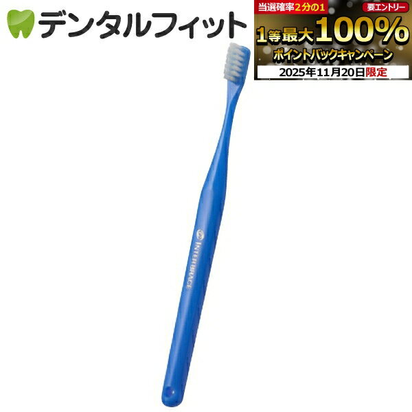 【★ポイント5倍 11/19 23:59迄】オーラルケア 山型 歯ブラシ インターブレイス ブルー 1本