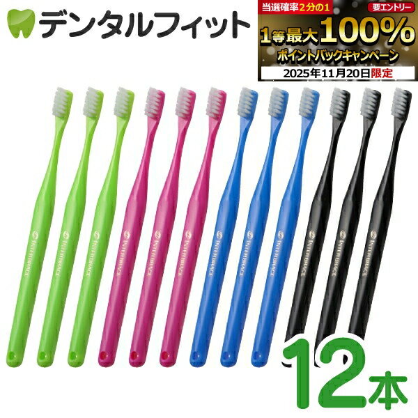 【★ポイント5倍 11/19 23:59迄】オーラルケア 山型 歯ブラシ インターブレイス(ライトグリーン/ピンク/ブルー/ブラック) 12本セット（メール便1点まで） 矯正【メール便選択で送料無料】