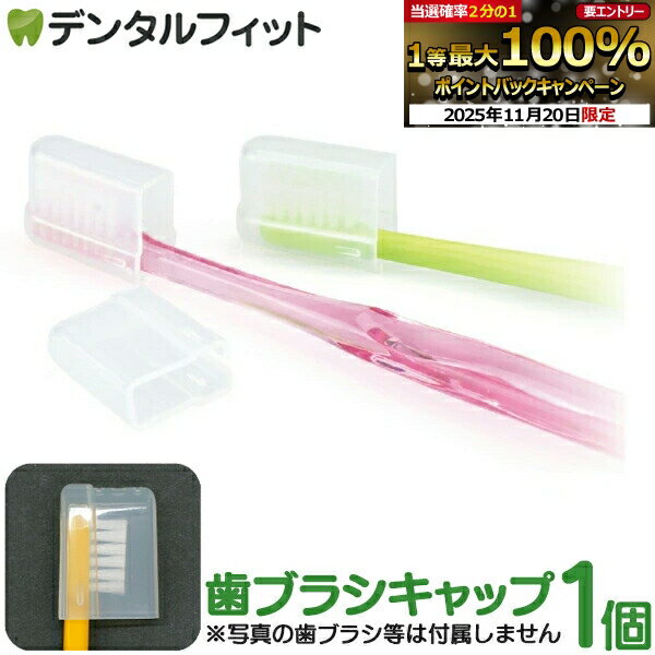 ڡݥ5 11/19 23:59Ciǥ ֥饷å 饤ɼʥꥢ 1 ֥饷°ޤ