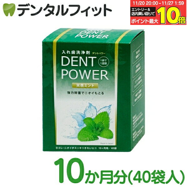 【★エントリーと店内3点購入でP10倍(11/20 20:00-11/27 1:59迄)】入れ歯洗浄剤 デントパワー 10ヶ月用 ..
