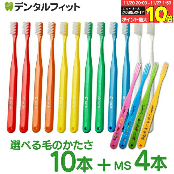 タフト24 10本とCiベーシック レオ・