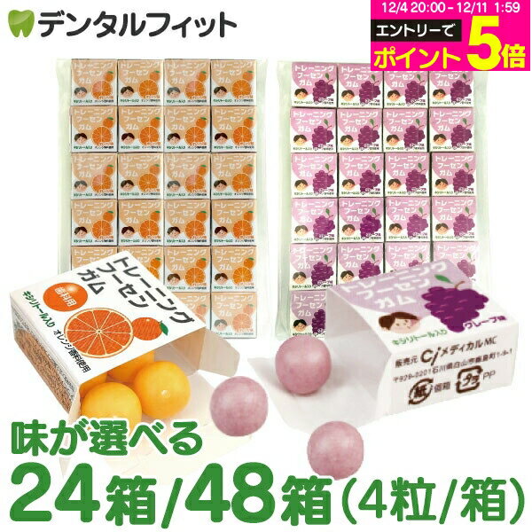 【★10%OFF】キシリトールガム 歯科専用 トレーニング フーセンガム 24箱/48箱(4粒/箱) グレープ味/オレンジ味 風船ガム キシリトール配..