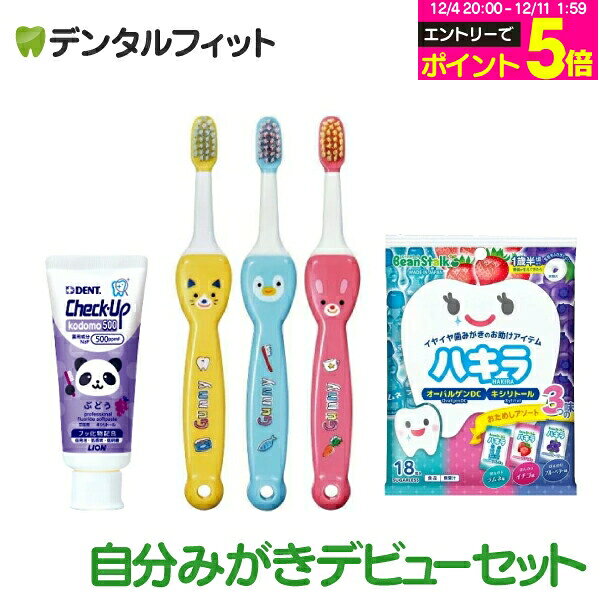 歯磨き粉 子供 チェックアップ 自分みがき デビューセット 