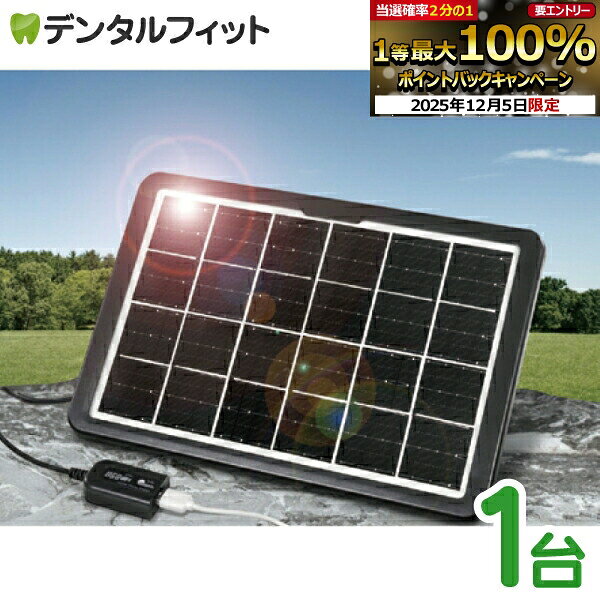 【★エントリーP5倍+先着100円OFFクーポン 12/4-12/11】ハイパワーメガソーラパネル  ...