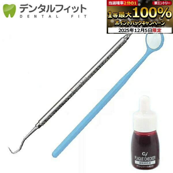 【★24%OFF】ヤニ取り＆歯石取り＆歯垢取りホームケア3点セット《スケーラー H5-33 1点・検診専用ミラー1点・Ciプラークチェッカー(歯垢染色液)ミニボトル(5ml)1点》（メール便10点まで）【メール便選択で送料無料】