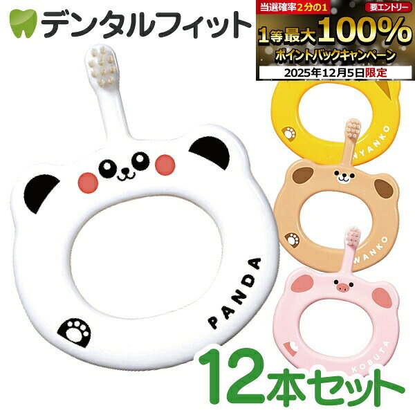 【★30%OFF】Ciベビー歯ブラシ S(やわらかめ) 12本セット 4柄アソート【Ciメディカル 歯ブラシ 5ヶ月〜3歳 赤ちゃん用ハブラシ】※色・柄指定不可