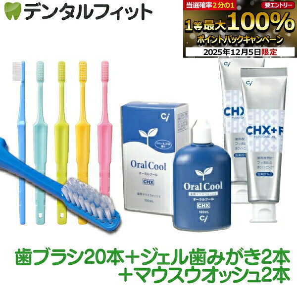デンタルフィット歯の健康セット(オーラルクールCHX(100ml)2本 / CHジェルガード(90g)2本 / 歯ブラシ ..