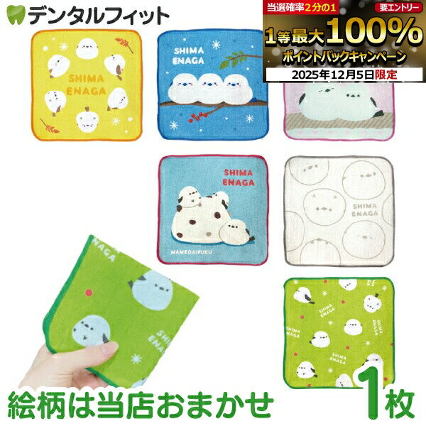 ڡ100OFFݥ+ȥ꡼P5 12/4-12/11ۥ顼ޤ ޥʥ ߥ˥ 1 Ҷ ϥ󥫥 20cm Źޤ