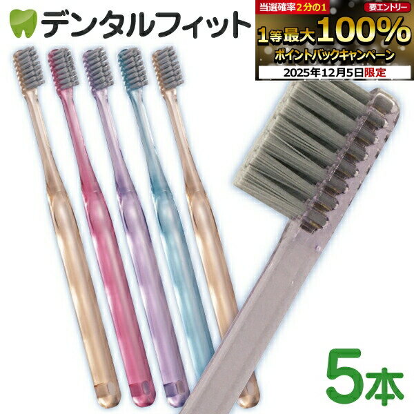 ڡ50%OFFCi PRO Ag+ 饦 / MդĤ 5Ciǥ ֥饷