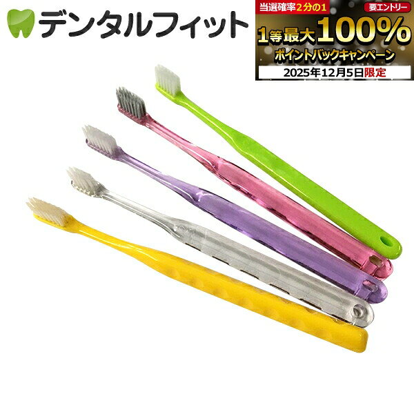 ڡ50%OFF5ΡĶ+եå ֥饷٤ȥåȡCiǥ ֥饷