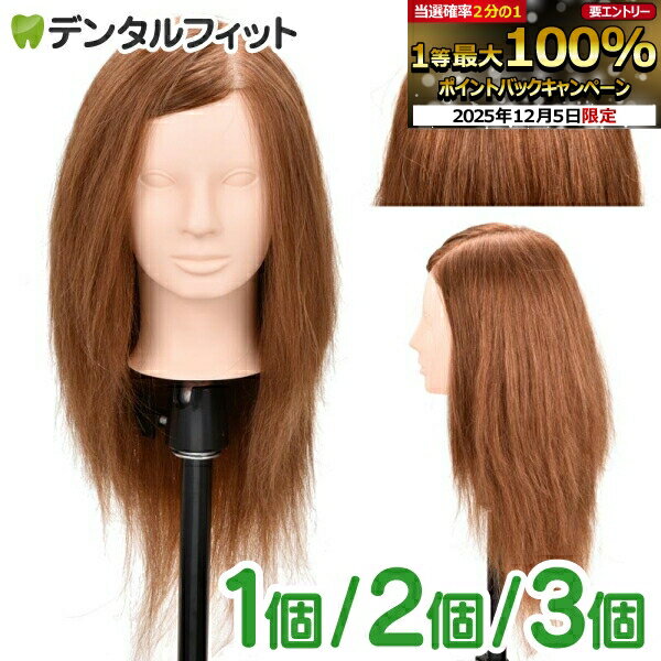 【★先着100円OFFクーポン+エントリーP5倍 12/4-12/11】Ci セットアップ ウィッグ 81【人毛100％ アップ..