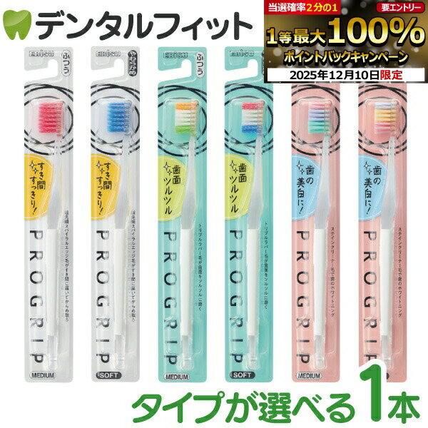 【★エントリーP5倍 12/4-12/11】エビス プログリップ 1本 タイプ1 タイプ2 タイプ3 ※カラーはお選びいただけません 磨きやすく洗練されたデザイン EBiSU PROGRIP 歯ブラシ プログリップハブラシ(メール便12点迄)【メール便選択で送料無料】