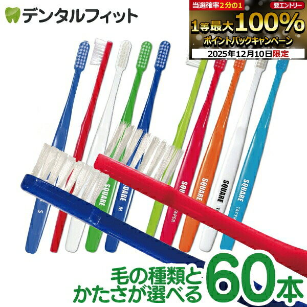 【★40％ポイントバック 12/16 9:59 迄】リセラ スクエア 歯ブラシ 60本セット /フラット毛(Mふつう / Sやわらかめ) / 超先細毛(オールテーパー毛 Mふつう)【Ciメディカル ハブラシ 歯科専売品】 【送料無料】